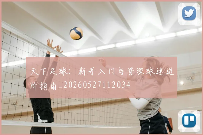 天下足球：新手入门与资深球迷进阶指南_20260527112034